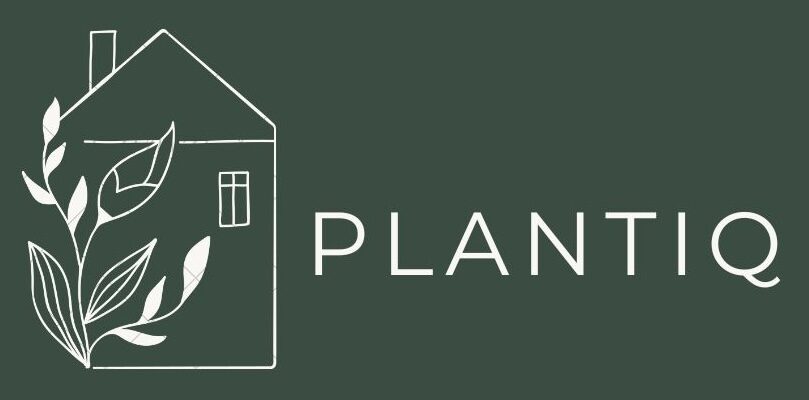 PLANTIQ